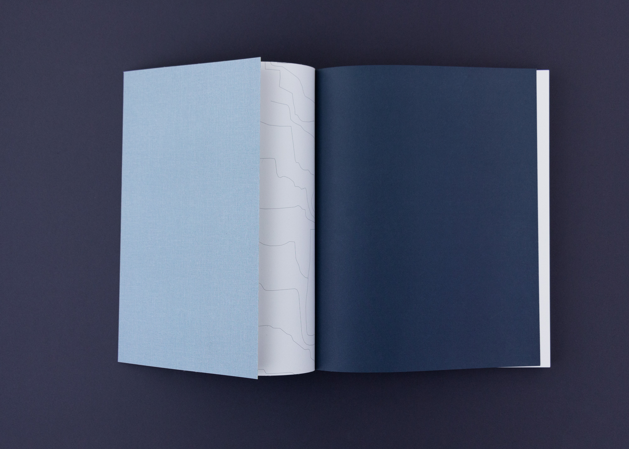 Bossard Wettstein Project - Balliana Schubert - Buch