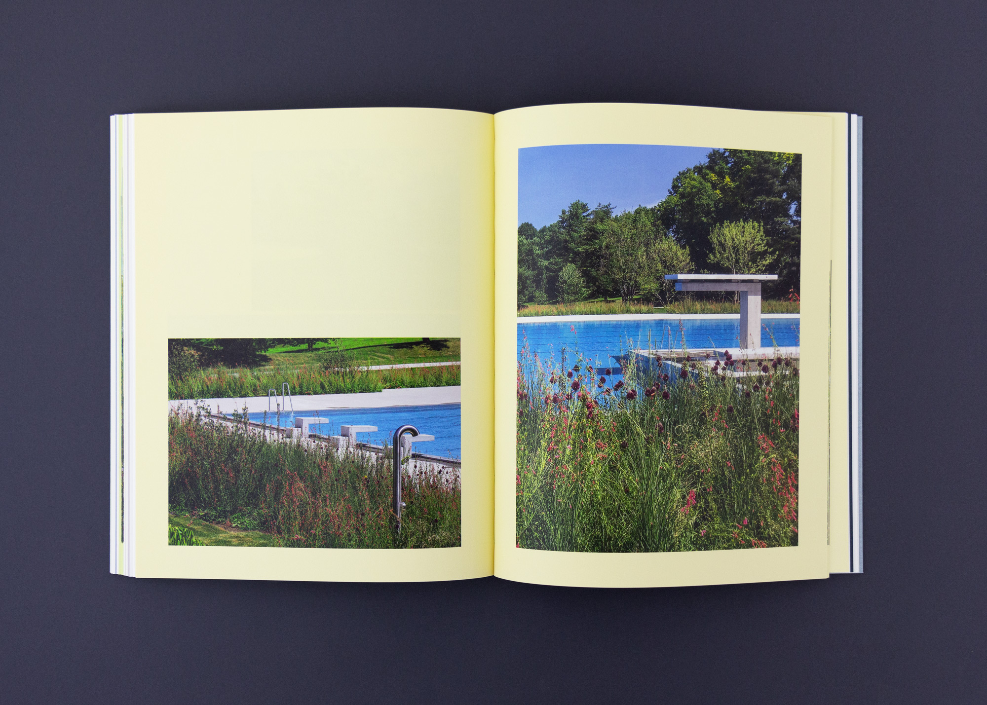 Bossard Wettstein Project - Balliana Schubert - Buch