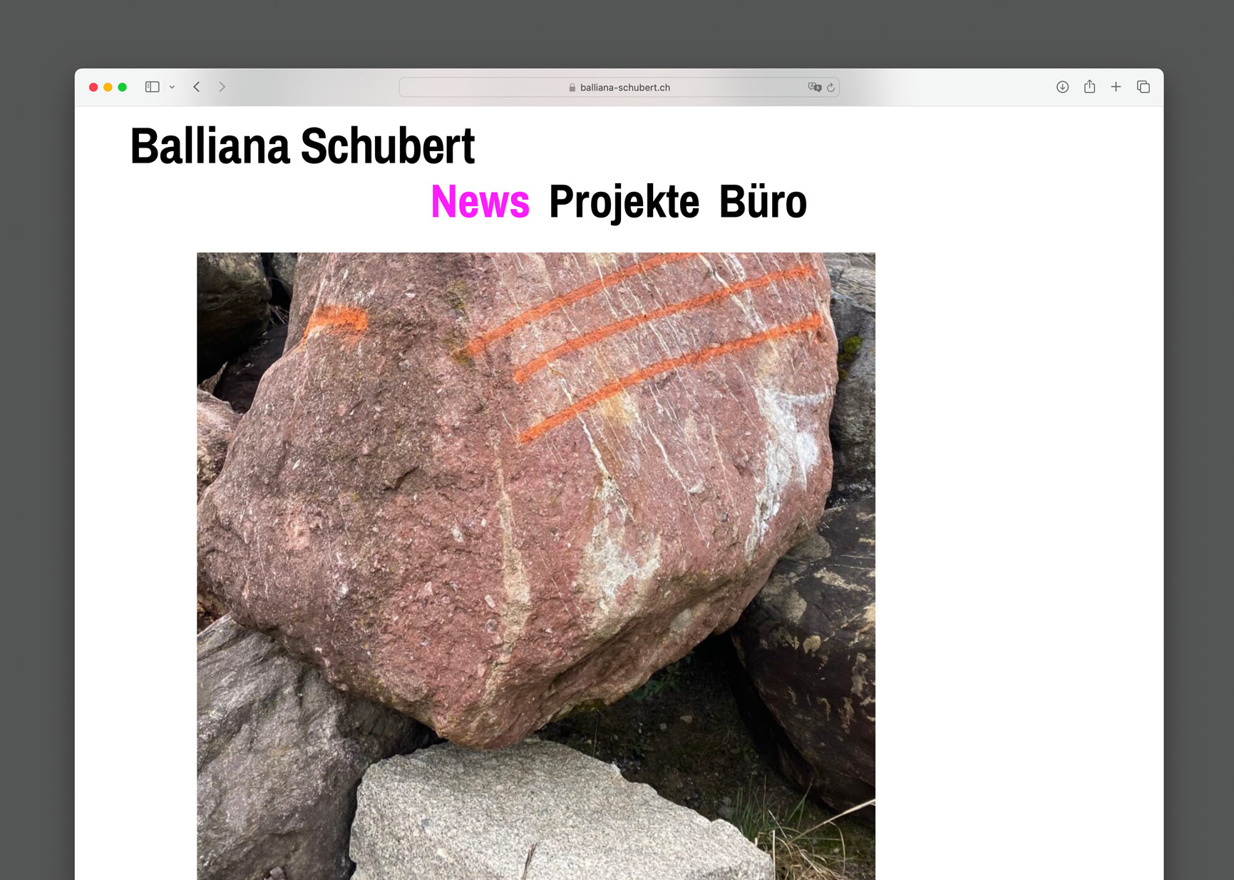 Bossard Wettstein Project - Balliana Schubert - Website