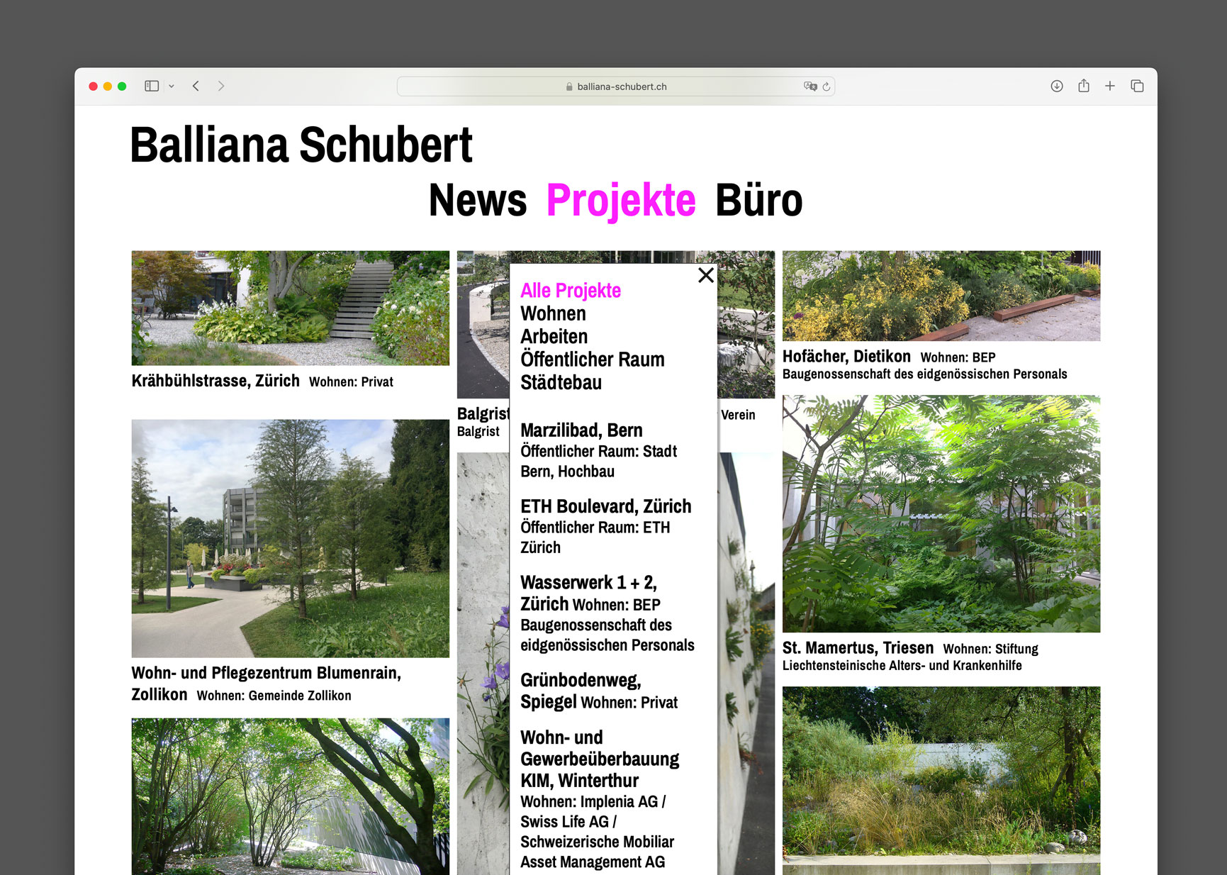 Bossard Wettstein Project - Balliana Schubert - Website