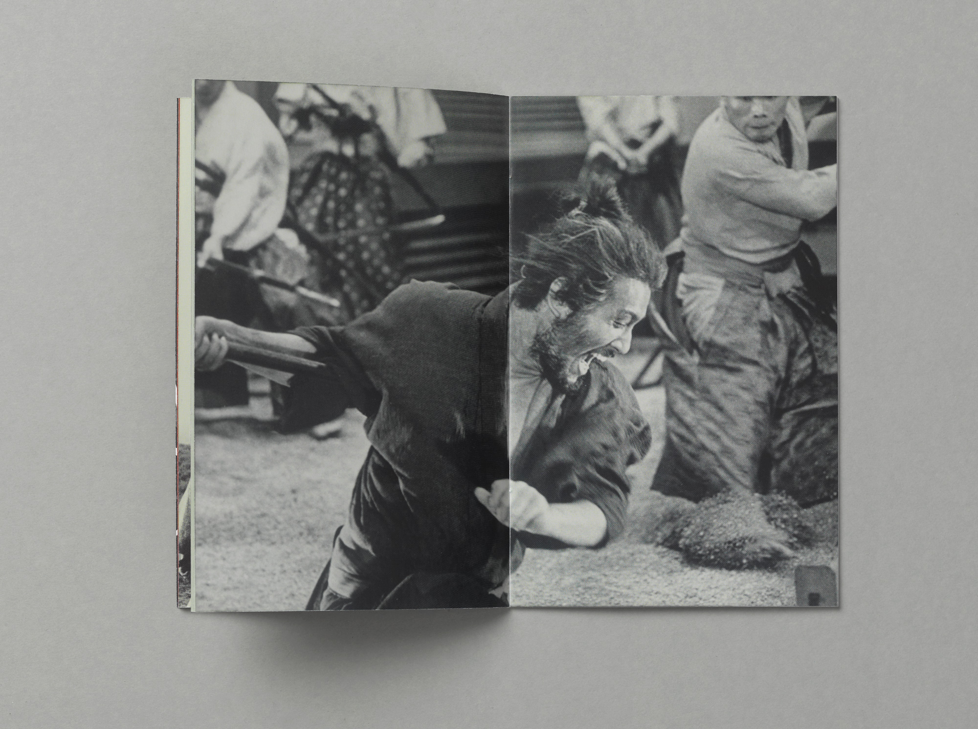 Bossard Wettstein Project - Criterion Collection - Booklet