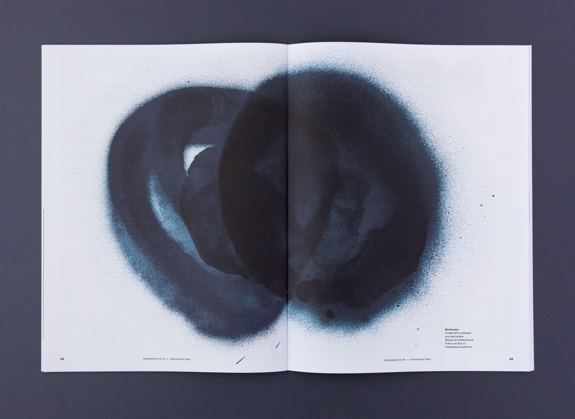 Bossard Wettstein Project - Hochparterre - Publikationen