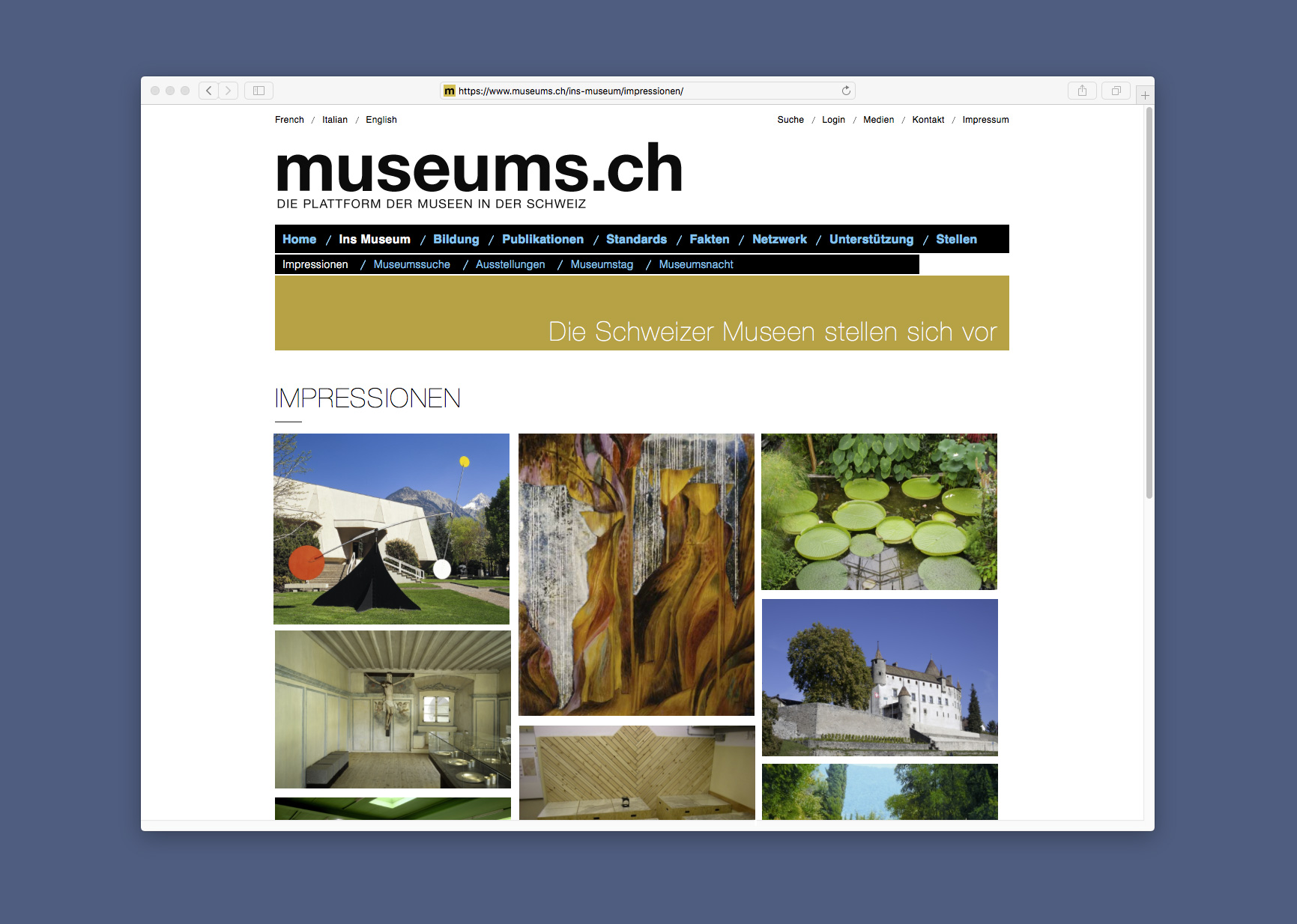 Bossard Wettstein Project - museums.ch - Website