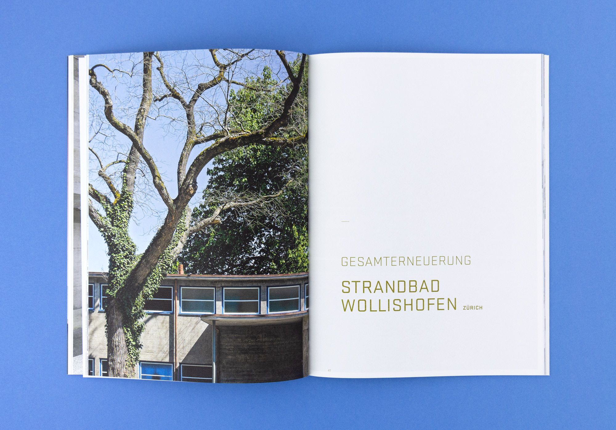 Bossard Wettstein Project - Nusus Architekten - Print-Publikation